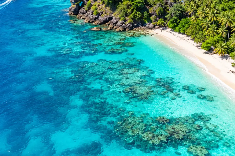 White-sand beach and coral reef seen from above