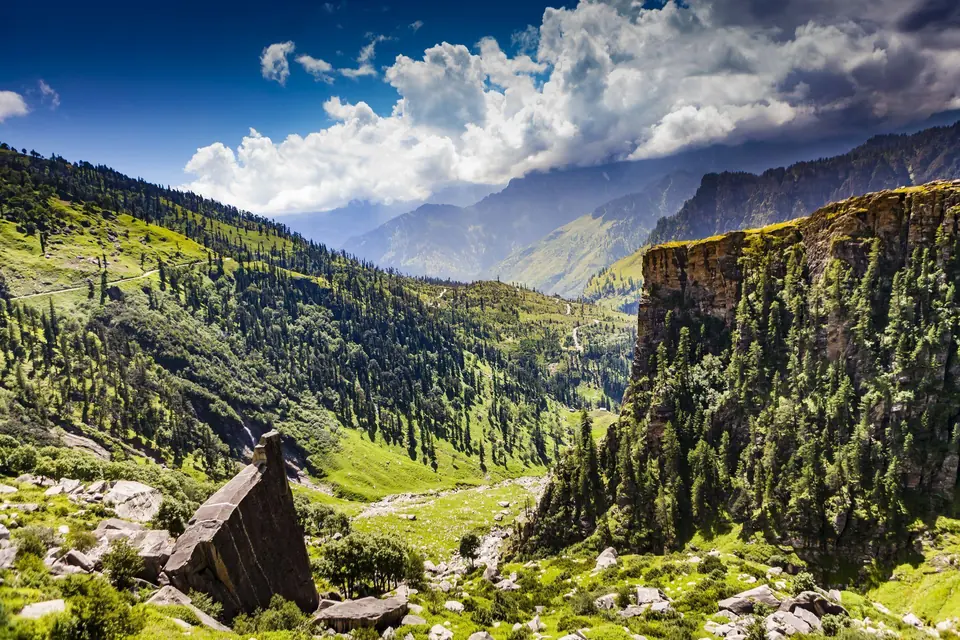 Green Himalayan valley with pine-covered slopes